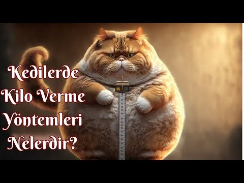 Kedilerde Kilo Verme