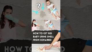 How To Get Ridremove Baby Urine Smell From Sofabed