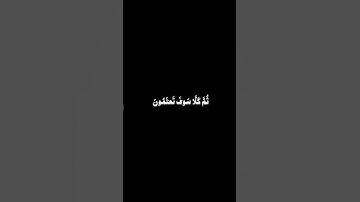 كرومات قرآن كريم بصوت القارئ راشد الأركاني