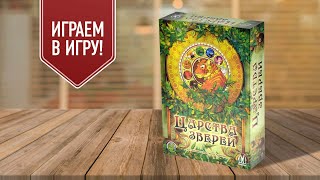 ЦАРСТВА ЗВЕРЕЙ: играем в настольную игру | красивый филлер на мажорити и сбор сетов