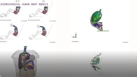 NTC - Biomechanical Human Body Models Team. ENG