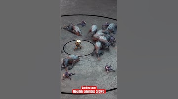 animals crowd with agent relationship in Houdini 19.5￼