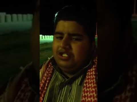  متين عريس دب