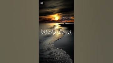 قرآن بصوت القارئ عبد العزيز سحيم 🤍