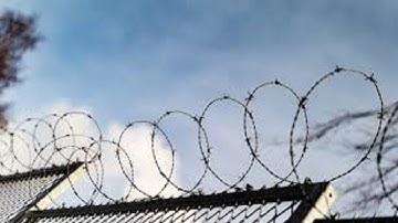 the netherlands is closing prisons because theres no one to keep there