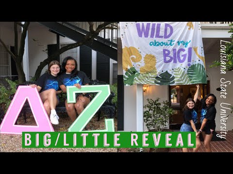 SORORITY BIG/LITTLE REVEAL |DELTA ZETA LSU | VLOG