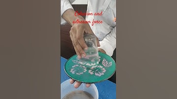 Cohesion and adhesion force #science #experiements #like #subscribe