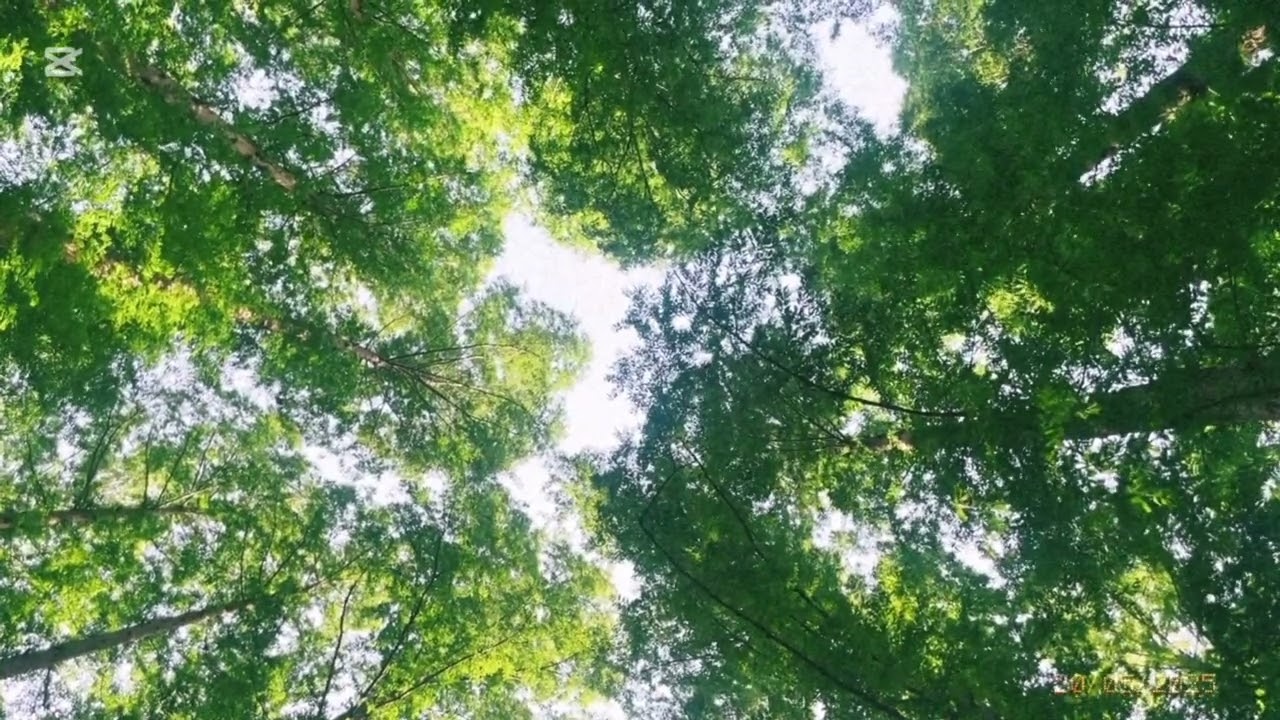 Soft Lofi Piano for Focus — Transparent Memory (20 min)