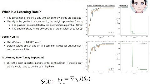 How to Tune Learning Rate for your Architecture? | Deep Learning