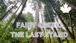 Watch Fairy Creek: The Last Stand Trailer