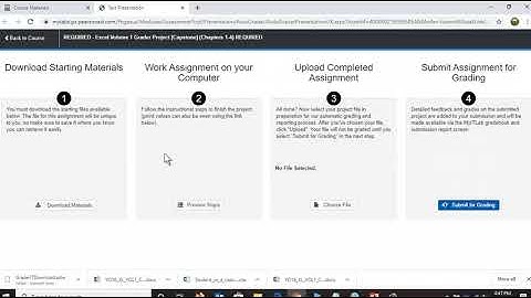 2020S BUSN1360-L01 Excel Grader Badge Project