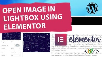 How to Open Image in Lightbox using Elementor in WordPress