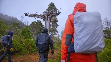 Expedition Bigfoot | S4 E2 | Upside down Trees [HD] [2023]