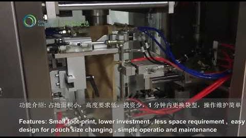 VD116B A Linear Type Premade Pouch Packaging Machine+Multi Heads Weigher + Zipper Doypack