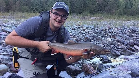 Headwaters l Fly Fishing BC Bull Trout l
