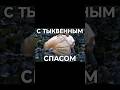 С тыквенным спасом! #shorts #votetodenek