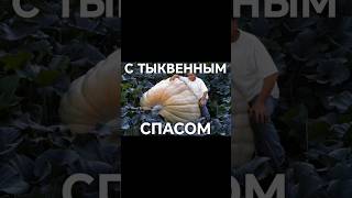 С тыквенным спасом! #shorts #votetodenek