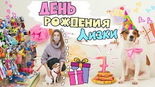 картинка: ДЕНЬ РОЖДЕНИЯ ЛИЗКИ: СОБАКА САМА ВЫБИРАЕТ СЕБЕ ПОДАРКИ В ЗООМАГАЗИНЕ + РЕЦЕПТ ТРЁХЪЯРУСНОГО ТОРТА