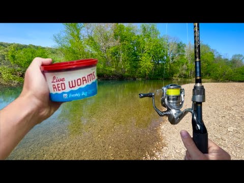 Creek Fishing With
