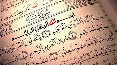 سورة يس - بصوت القارئ الشيخ هاني عبد الله ابو شيته