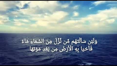 (ولئن سألتهم من نزّل من السماء ماء فأحيا به الارض من بعد موتها ليقولن الله) القارئ عبد الرحمن مسعد