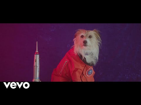 The Belligerents - Flash