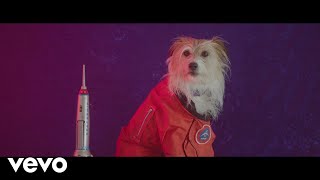 The Belligerents - Flash