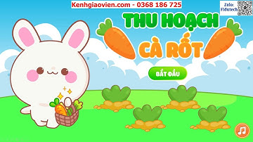 Giáo án powerpoint CĐ 1 tuần 3: Hoạt động 4 | GA điện tử hoạt động trải nghiệm 8 Chân trời bản 2