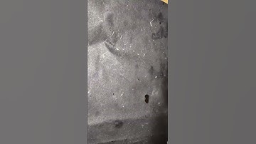 Home Made PCB || DIY PCB || Single layer  PCB  design using Altium