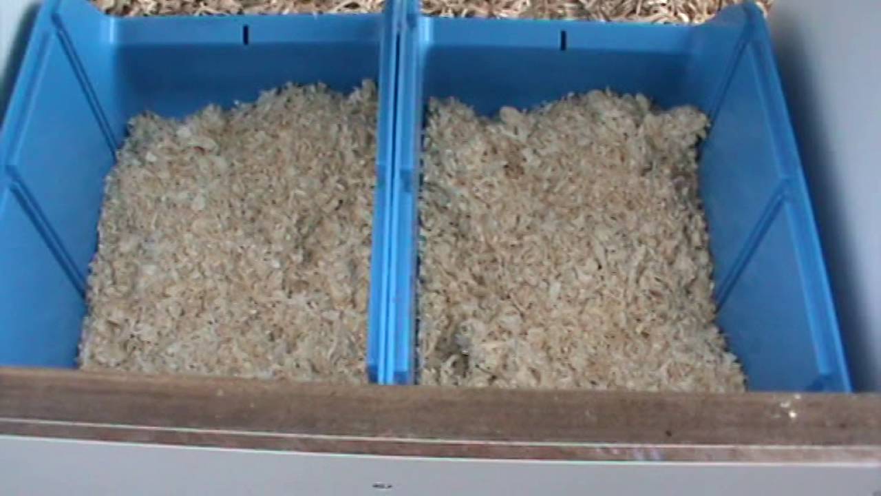 Makkelijk Schoon Te Maken Kippenhok