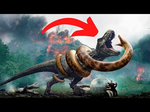 Video: Ktorý je väčší diplodocus alebo brachiosaurus?