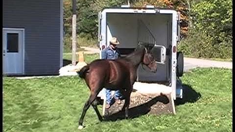 Trailer Loading Difficult Horses Video 3 Part 2