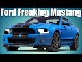 The Ford Freaking Mustang! A Car History