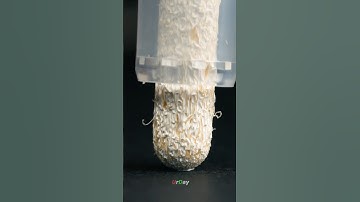 A brand new paint marker extreme close up #macro #urday