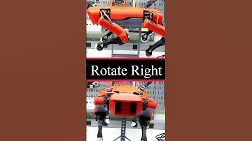 Testing the walking gait of my SpotMicro. #roboticdog #robotdog #demo