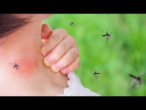 VERIFY | Can mosquitoes spread HIV, Lyme disease?