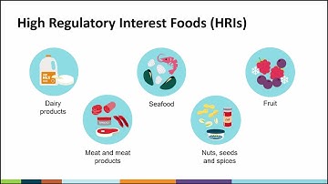 Food Importing 101: Understanding the basics of Food Importing