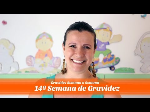 Vídeo: 14 Semanas De Gravidez