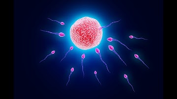 How Do Organisms Reproduce? Class 10- Asexual Reproduction-1