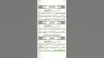 سورة المسد بصوت الشيخ مشاري العفاسي