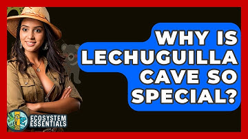 Why Is Lechuguilla Cave So Special? - Ecosystem Essentials