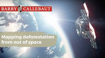 Mapping Deforestation from Out Of Space | Barry Callebaut