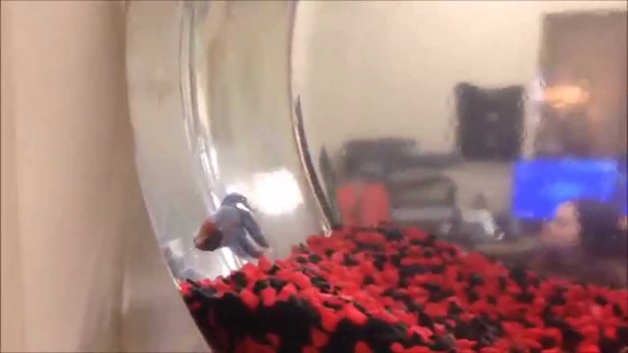 Urgent Care MD MidCity New Orleans Video Tour YouTube