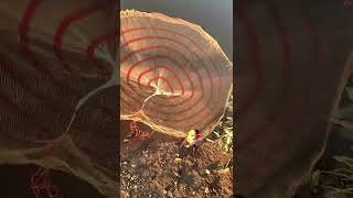 Amazing Asian Cast Net Fishing To Catching A Big Fish In The River 7