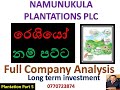 NAMUNUKULA PLANTATIONS PLC(NAMU.N) - Company analysis with data base / Long term