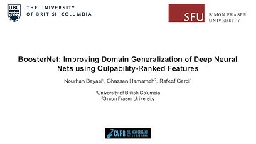 Improving Domain Generalization of Deep Neural Nets using Culpability-Ranked Features