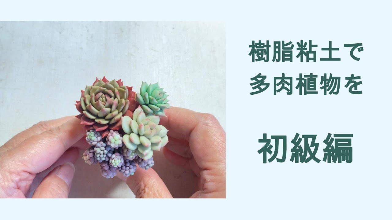 【mog】樹脂粘土のエケベリア 樹脂粘土で多肉植物 初級編 - YouTube
