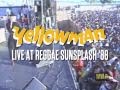 Young Gifted And Yellow - 2 CD - DVD Set Sunsplash 1988 VP