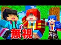 友達全員が無視をする マイクラ マインクラフト 友達全員が無視をする マイクラ マインクラフト