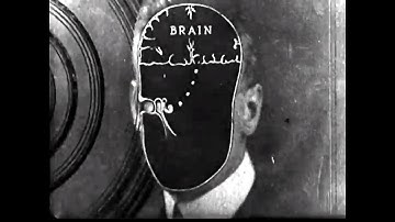 AWMGTC - Impractical Mechanisms (Official Video) #alternativerock #postpunk #psychodelicrock #music